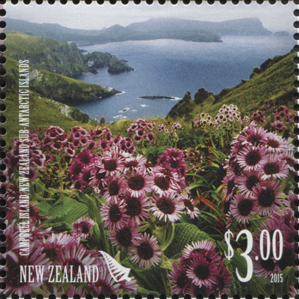 NZ071.15