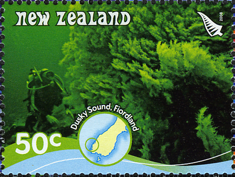 NZ001.08