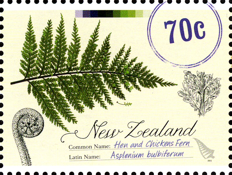 NZ005.13