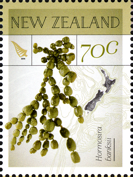 NZ005.14