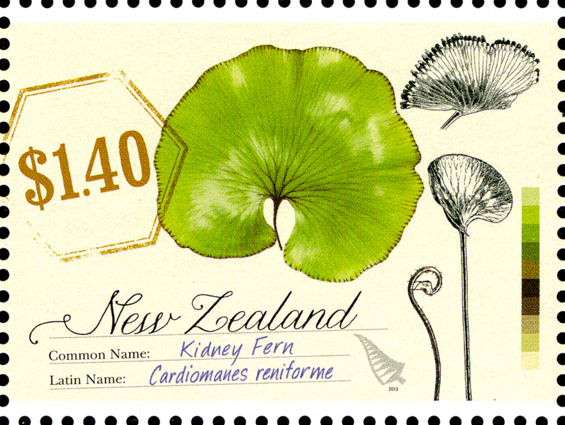 NZ006.13
