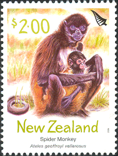NZ005.04