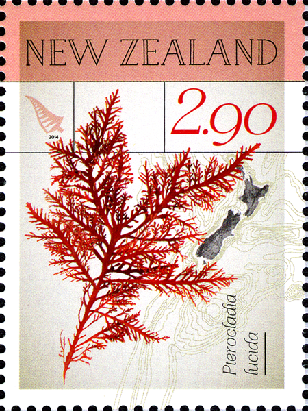 NZ009.14