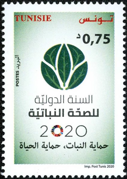 TN005.20